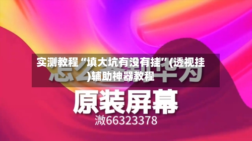 实测教程“填大坑有没有挂”(透视挂)辅助神器教程-第2张图片