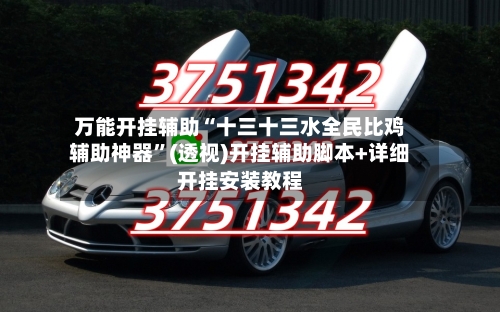 万能开挂辅助“十三十三水全民比鸡辅助神器”(透视)开挂辅助脚本+详细开挂安装教程-第2张图片