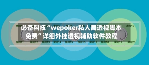 必备科技“wepoker私人局透视脚本免费”详细外挂透视辅助软件教程-第2张图片