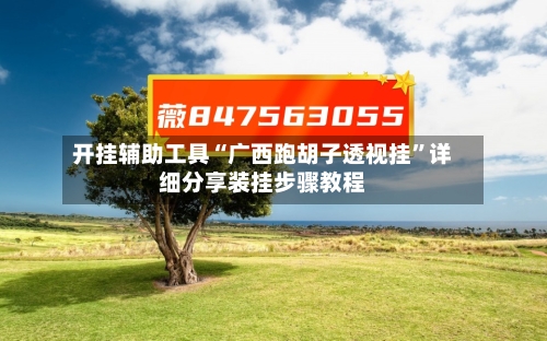 开挂辅助工具“广西跑胡子透视挂”详细分享装挂步骤教程-第1张图片