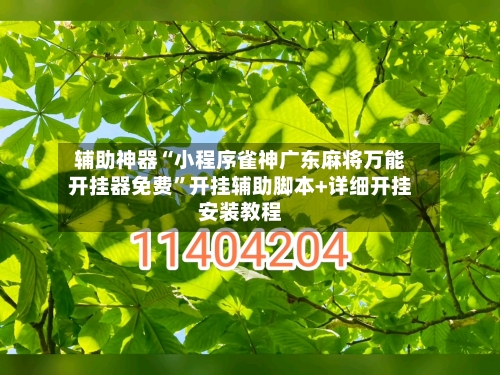辅助神器“小程序雀神广东麻将万能开挂器免费”开挂辅助脚本+详细开挂安装教程-第2张图片