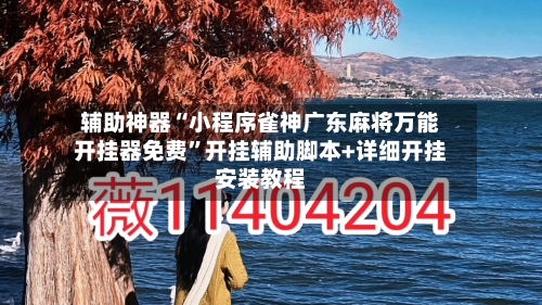 辅助神器“小程序雀神广东麻将万能开挂器免费”开挂辅助脚本+详细开挂安装教程-第3张图片