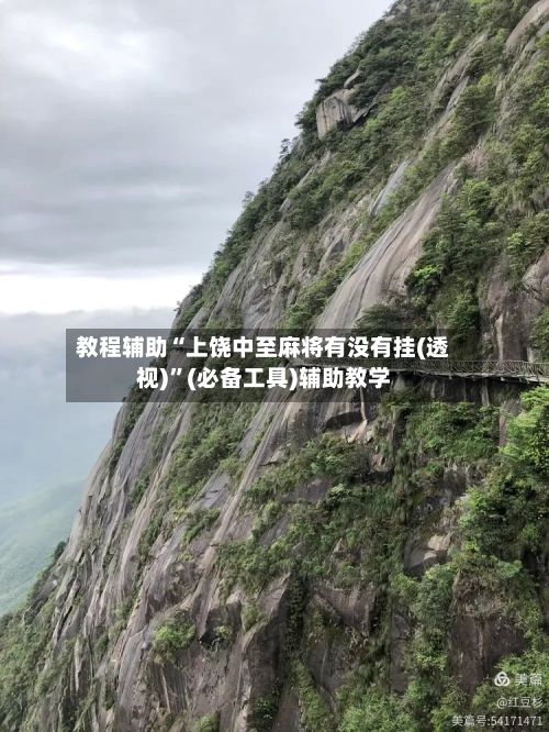 教程辅助“上饶中至麻将有没有挂(透视)”(必备工具)辅助教学-第2张图片