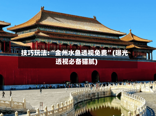 技巧玩法:“金州水鱼透视免费	”(曝光透视必备猫腻)-第1张图片