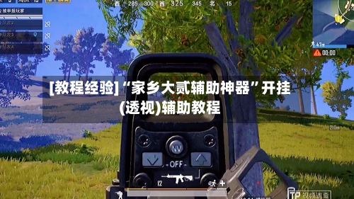 [教程经验]“家乡大贰辅助神器”开挂(透视)辅助教程-第1张图片