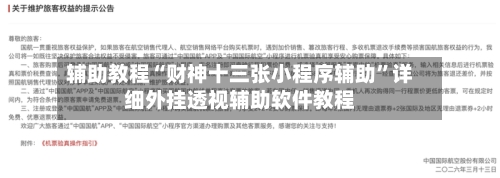 辅助教程“财神十三张小程序辅助”详细外挂透视辅助软件教程-第2张图片
