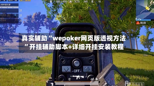真实辅助“wepoker网页版透视方法”开挂辅助脚本+详细开挂安装教程-第1张图片