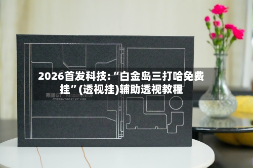 2026首发科技:“白金岛三打哈免费挂”(透视挂)辅助透视教程-第2张图片