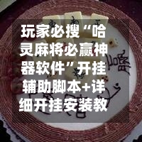 玩家必搜“哈灵麻将必赢神器软件”开挂辅助脚本+详细开挂安装教程-第2张图片