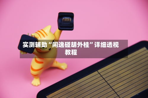 实测辅助“闲逸碰胡外桂	”详细透视教程-第2张图片