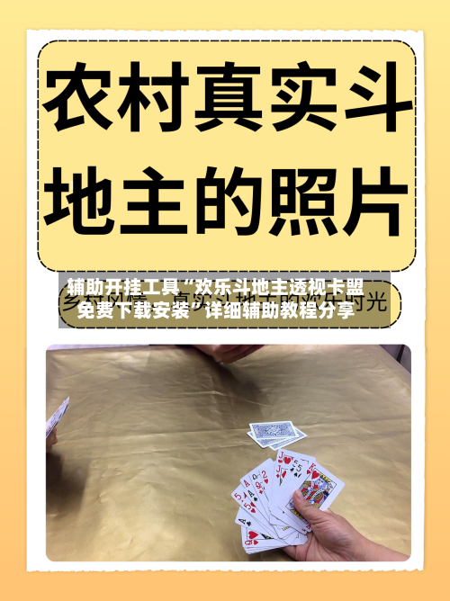 辅助开挂工具“欢乐斗地主透视卡盟免费下载安装”详细辅助教程分享-第1张图片