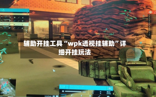 辅助开挂工具“wpk透视挂辅助”详细开挂玩法-第1张图片