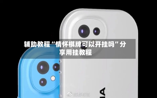 辅助教程“情怀棋牌可以开挂吗”分享用挂教程-第3张图片