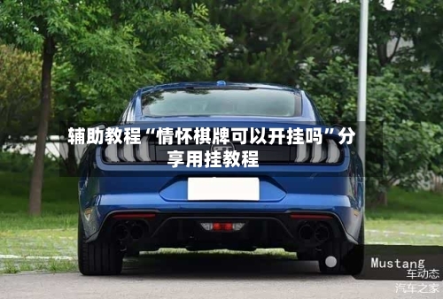 辅助教程“情怀棋牌可以开挂吗”分享用挂教程-第2张图片