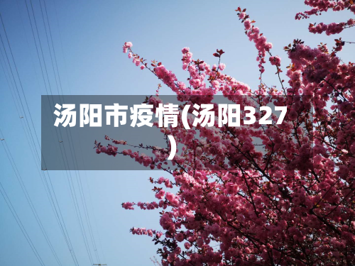 汤阳市疫情(汤阳327)-第1张图片
