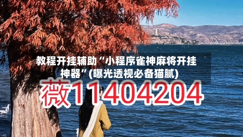 教程开挂辅助“小程序雀神麻将开挂神器	”(曝光透视必备猫腻)-第2张图片