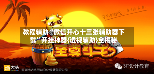 教程辅助“微信开心十三张辅助器下载”开挂神器{透视辅助}全揭秘-第1张图片