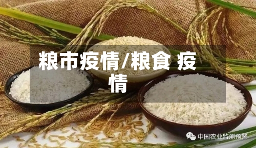 粮市疫情/粮食 疫情-第1张图片