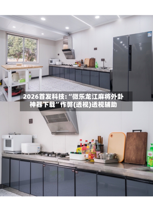 2026首发科技:“微乐龙江麻将外卦神器下载”作弊(透视)透视辅助-第1张图片