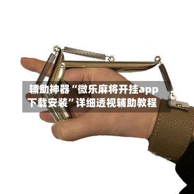 辅助神器“微乐麻将开挂app下载安装”详细透视辅助教程-第3张图片