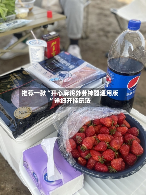 推荐一款“开心麻将外卦神器通用版”详细开挂玩法-第1张图片