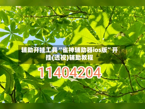 辅助开挂工具“雀神辅助器ios版”开挂(透视)辅助教程-第1张图片