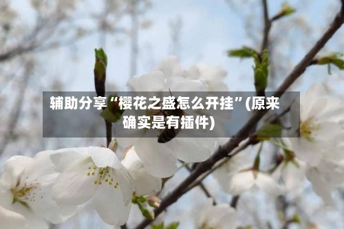 辅助分享“樱花之盛怎么开挂”(原来确实是有插件)-第2张图片