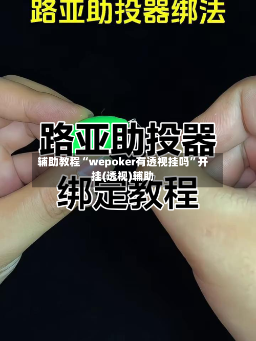 辅助教程“wepoker有透视挂吗”开挂(透视)辅助-第1张图片