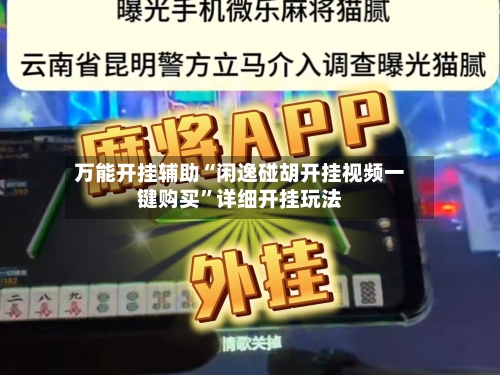 万能开挂辅助“闲逸碰胡开挂视频一键购买”详细开挂玩法-第1张图片
