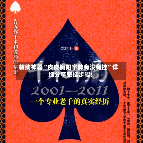 辅助神器“皮皮衡阳字牌有没有挂	”详细分享装挂步骤!-第2张图片