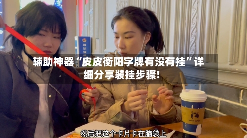 辅助神器“皮皮衡阳字牌有没有挂”详细分享装挂步骤!-第1张图片