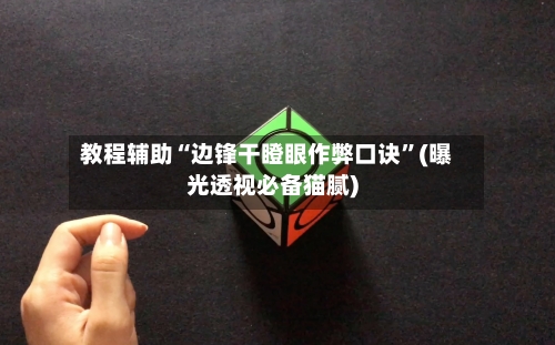 教程辅助“边锋干瞪眼作弊口诀”(曝光透视必备猫腻)-第1张图片