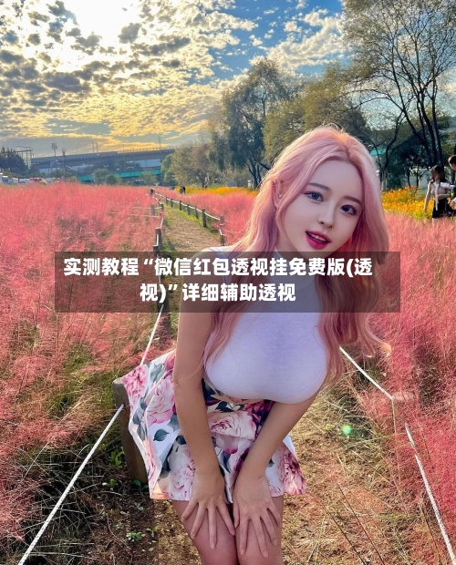 实测教程“微信红包透视挂免费版(透视)	”详细辅助透视-第1张图片