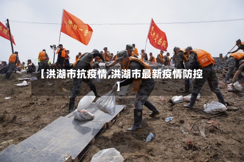 【洪湖市抗疫情,洪湖市最新疫情防控】-第3张图片