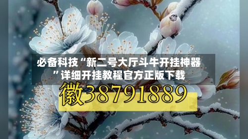 必备科技“新二号大厅斗牛开挂神器	”详细开挂教程官方正版下载-第2张图片