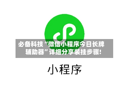 必备科技“微信小程序今日长牌辅助器”详细分享装挂步骤!-第3张图片
