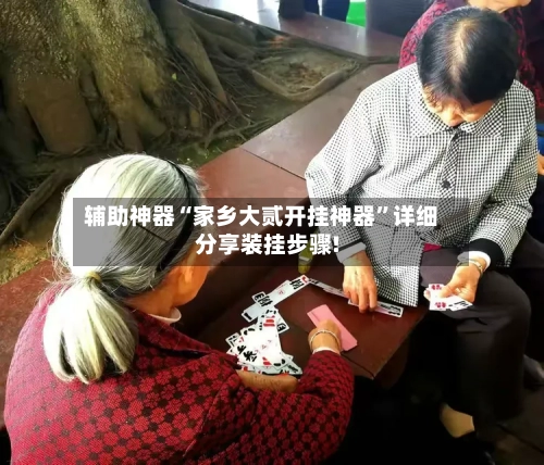 辅助神器“家乡大贰开挂神器”详细分享装挂步骤!-第1张图片