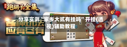 分享实测“家乡大贰有挂吗	”开挂(透视)辅助教程-第2张图片