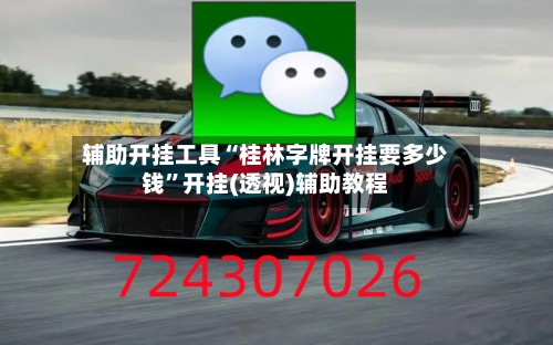 辅助开挂工具“桂林字牌开挂要多少钱”开挂(透视)辅助教程-第1张图片