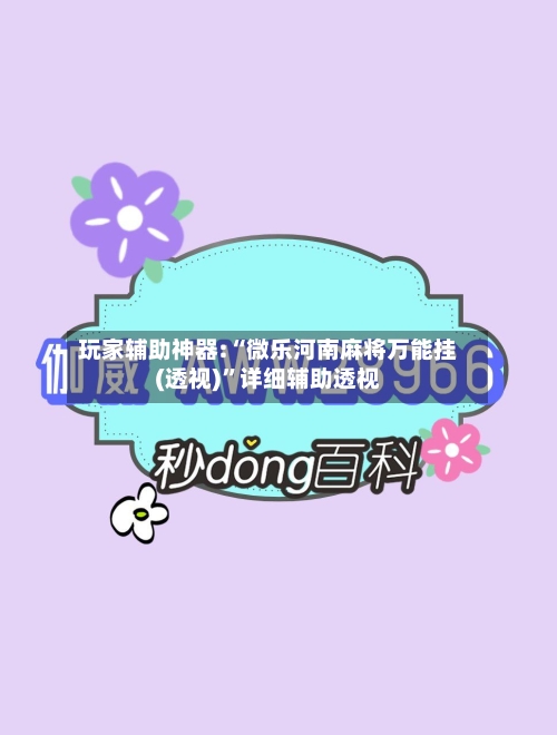 玩家辅助神器:“微乐河南麻将万能挂(透视)	”详细辅助透视-第3张图片