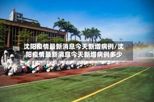 沈阳疫情最新消息今天新增病例/沈阳疫情最新消息今天新增病例多少-第2张图片