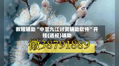 教程辅助“中至九江讨赏辅助软件	”开挂(透视)辅助-第2张图片