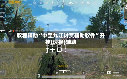 教程辅助“中至九江讨赏辅助软件”开挂(透视)辅助-第1张图片