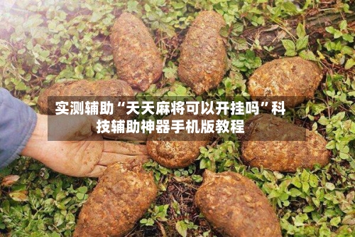 实测辅助“天天麻将可以开挂吗”科技辅助神器手机版教程-第1张图片