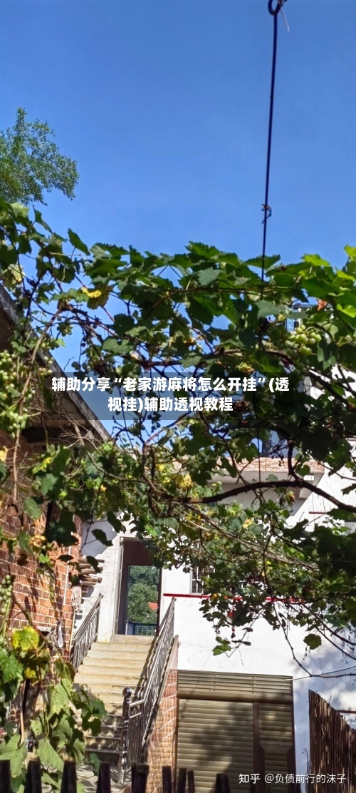 辅助分享“老家游麻将怎么开挂”(透视挂)辅助透视教程-第1张图片