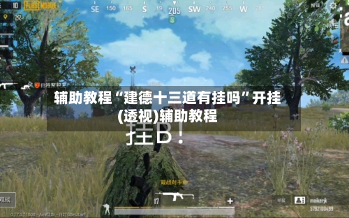 辅助教程“建德十三道有挂吗”开挂(透视)辅助教程-第3张图片