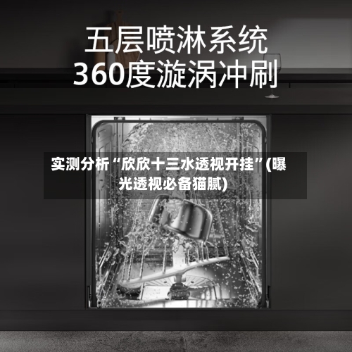 实测分析“欣欣十三水透视开挂	”(曝光透视必备猫腻)-第1张图片