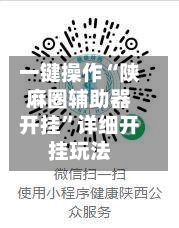 一键操作“陕麻圈辅助器开挂	”详细开挂玩法-第2张图片