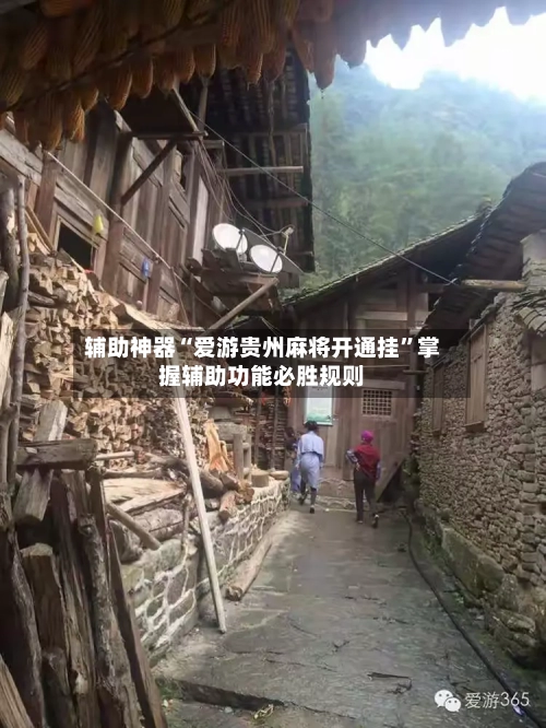 辅助神器“爱游贵州麻将开通挂”掌握辅助功能必胜规则-第2张图片