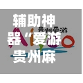 辅助神器“爱游贵州麻将开通挂	”掌握辅助功能必胜规则-第3张图片